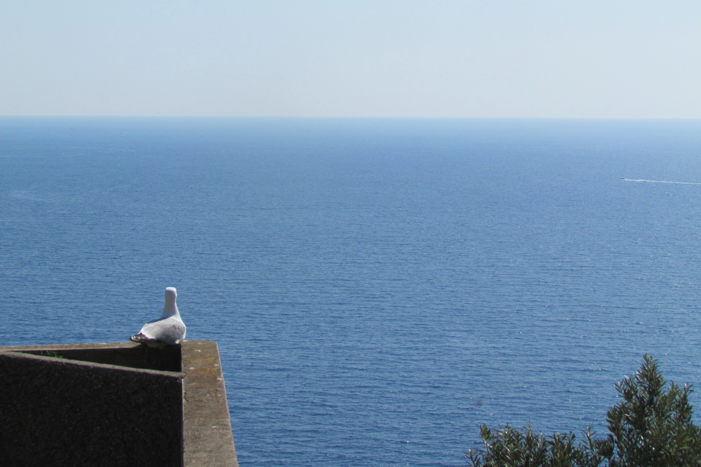 Saint-Raphaël[1].webp